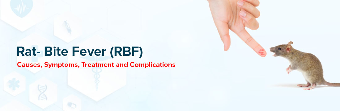 Rat-Bite Fever (RBF): Causes, Symptoms, Treatment and Complications